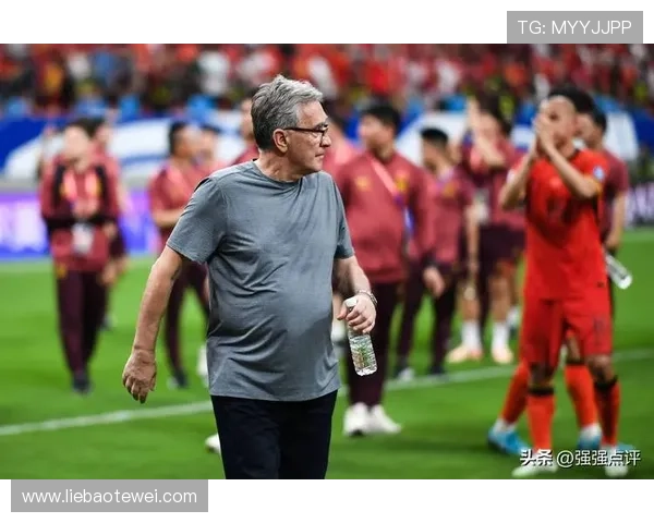 归化球员助力欧洲杯预选赛，国家队实力持续提升引关注