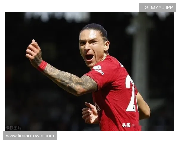 努涅斯作为非典型中锋为何评价两极分化